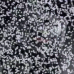 tumblr_o7salxrZWB1v55f8co1_500