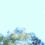 tumblr_oa1if11NO41qmwicro3_r1_500