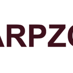 WZLOGO17SITE