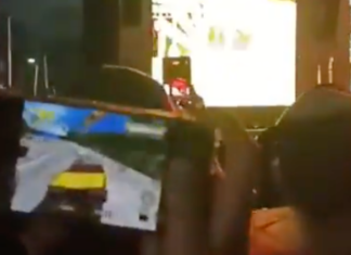 Fã joga Crazy Taxi em show do Offspring, ao som de All I Want