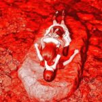 0bbf37f9-2161-4428-b9a8-0ccacea05bbd