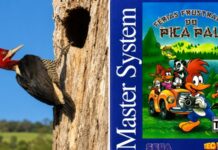 Do mundo real aos Games: Personagens que vieram da vida real