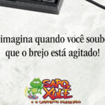 SXadp22